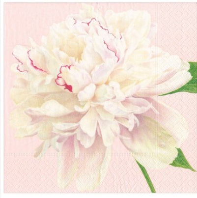 Luncheon Napkins - Variety of Patterns