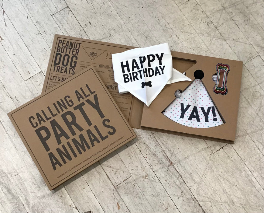 Dog Birthday Party Box