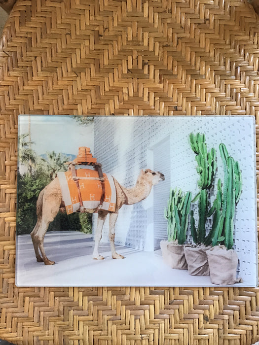 Board -camel