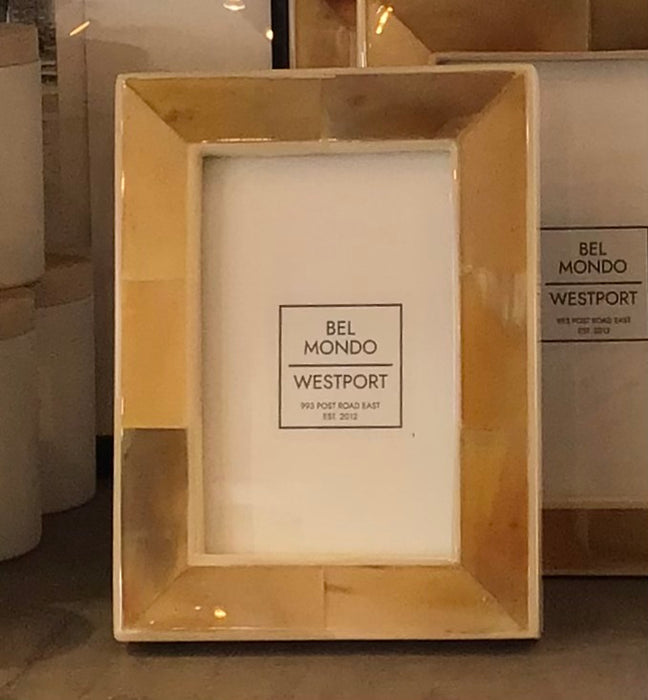 Natural Horn and Bone Frame 4x6
