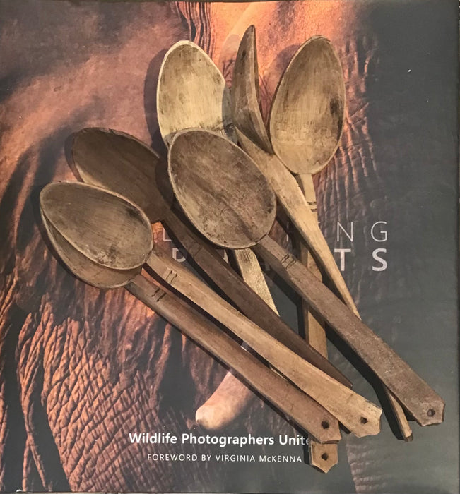 Vintage Wooden Spoon